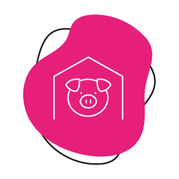 Star in the STY Icon PiGs AKA People in Glazing Society Star in the STY Icon