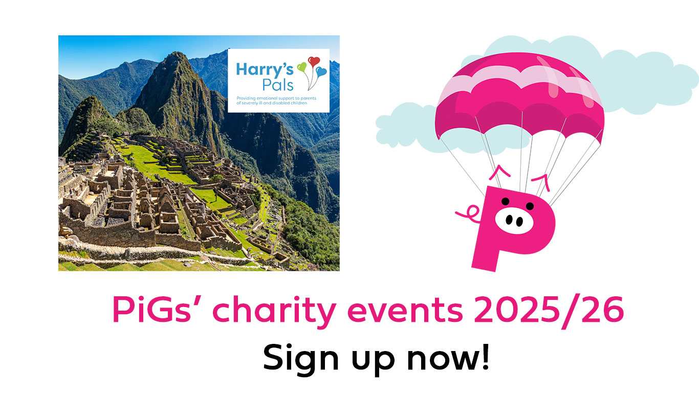 FlyingPiGs/Machu PiGchu sign up now