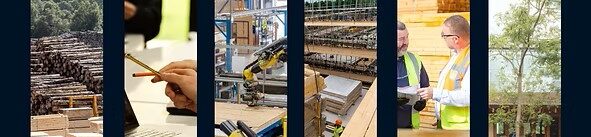 The Timber in Construction Skills Programme webinar series has been launched